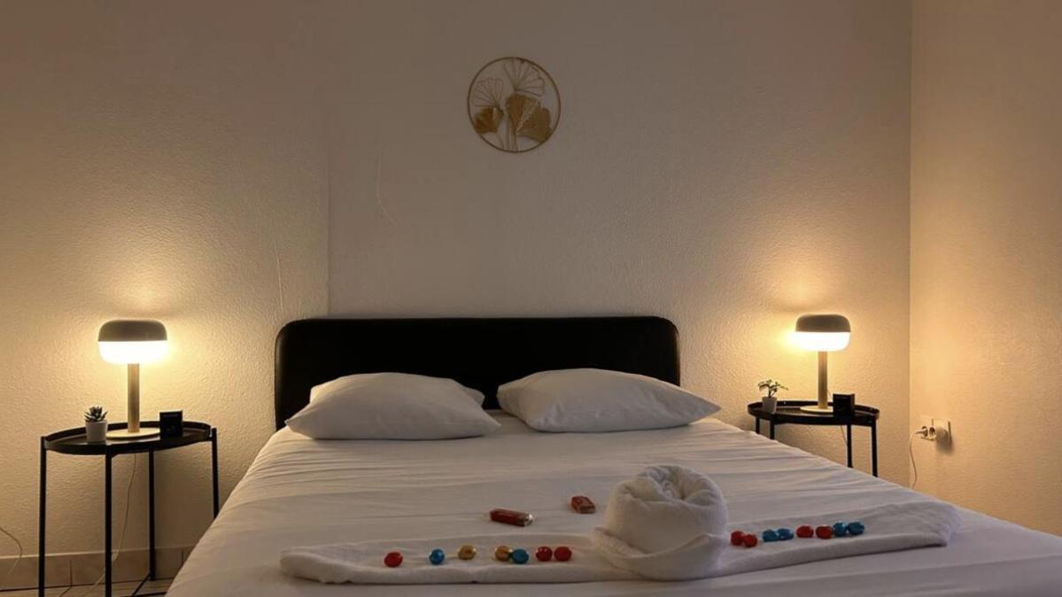 Appartement Le Superbe - Gare Mâcon
